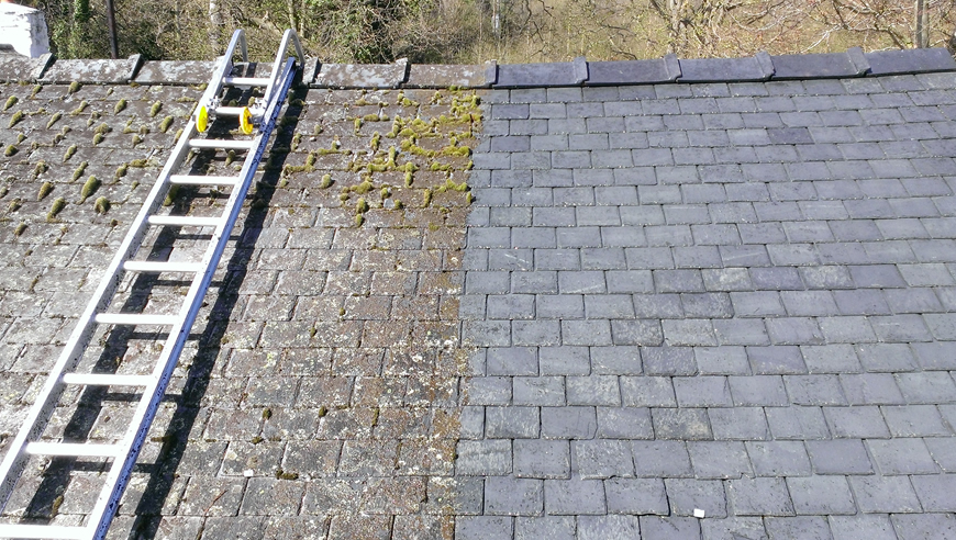Moss Removal Banner Image | Frontline Roofing & Property Maintenance